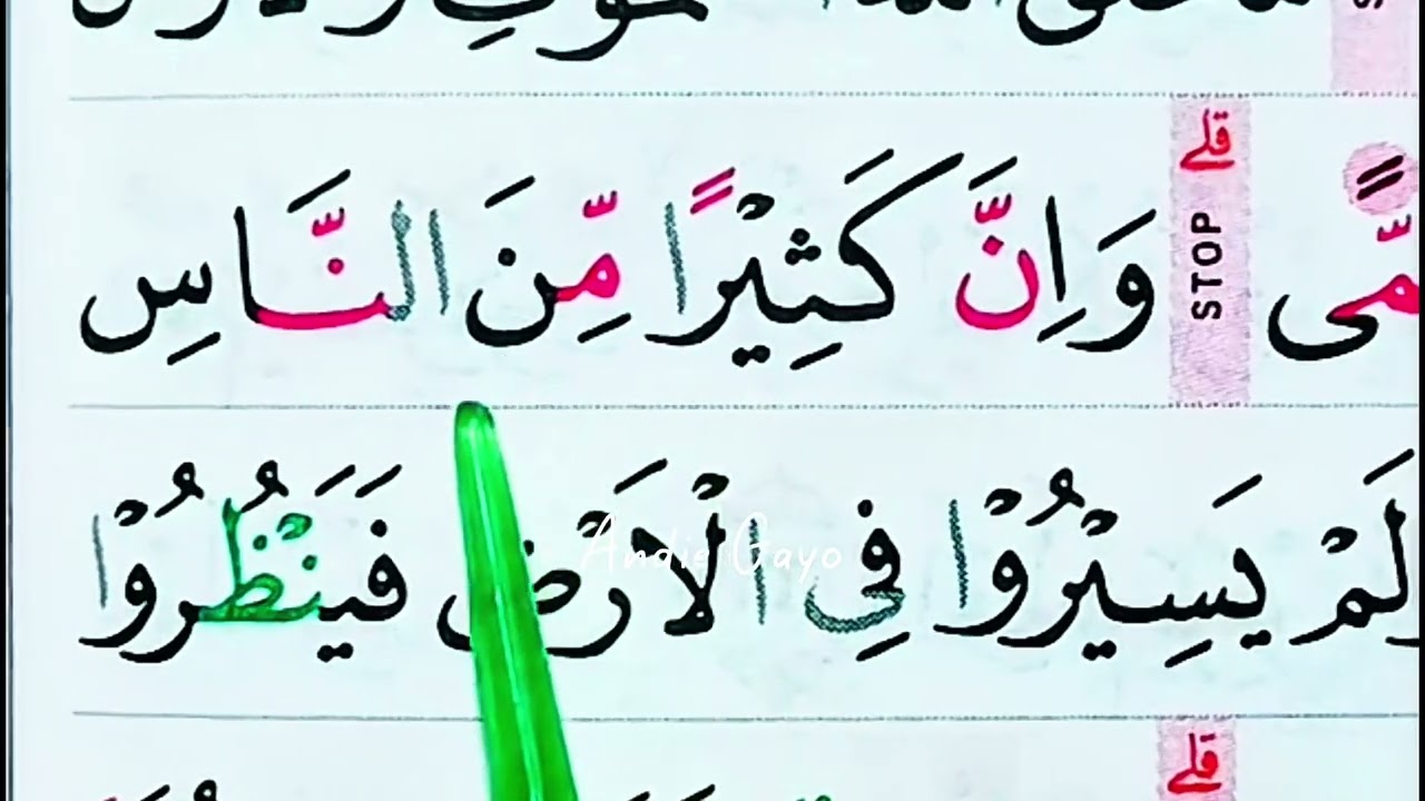 BAGAIMANA DENGAN BACAAN MU❓| BACAAN SEPERTI INI BANYAK YANG SUKA