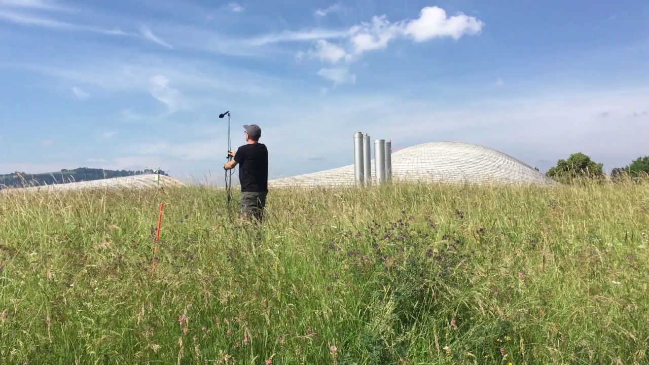 Discover the sounds of life in the soil