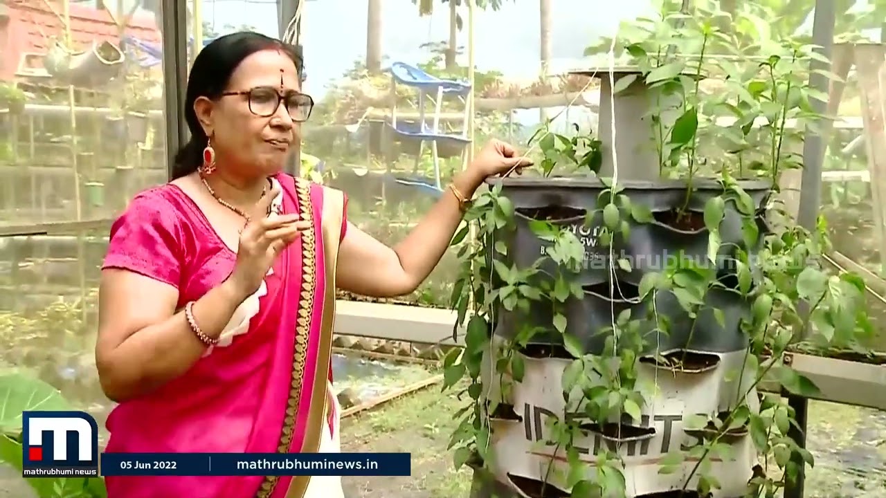 കൃഷി സ്മാര്‍ട്ടാക്കാം..ഇതാ ഒരു ഹൈടെക് കിച്ചണ്‍ ഗാര്‍ഡന്‍- കൃഷിഭൂമി| Krishi Bhoomi | Mathrubhumi News