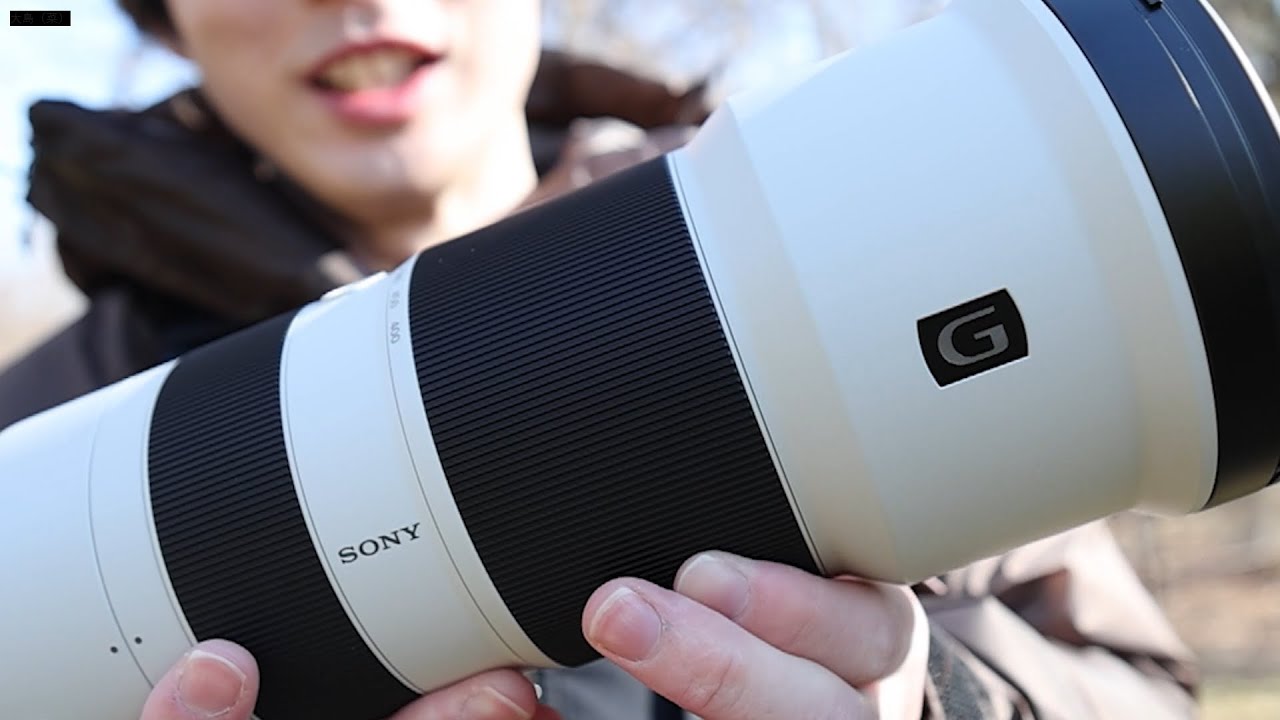 &alpha;:FE 400-800mm F6.3-8 G OSS 製品レビュー by ゆ～とび氏【ソニー公式】