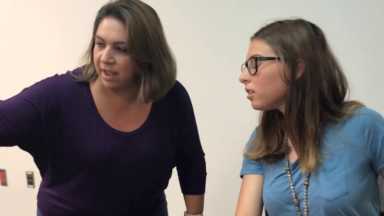 If Teachers Acted Like Students