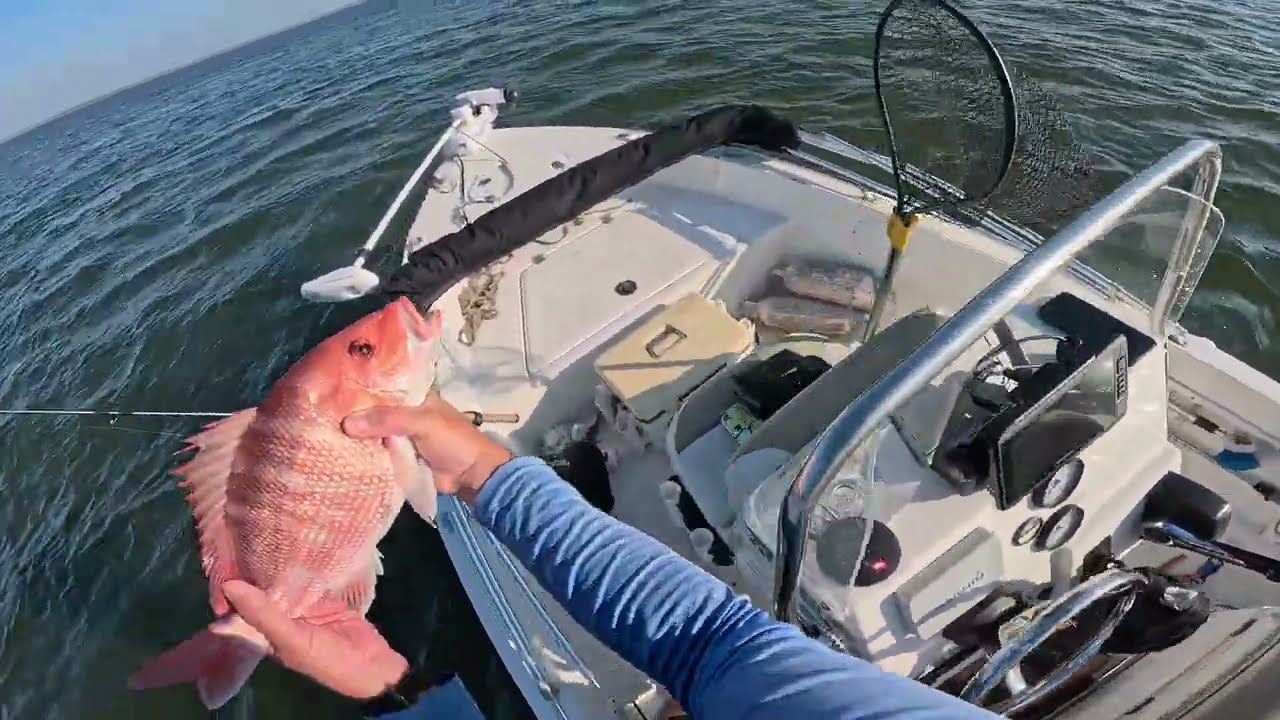 FIRST TIME Catching this Fish in the Broad River! Beaufort, SC