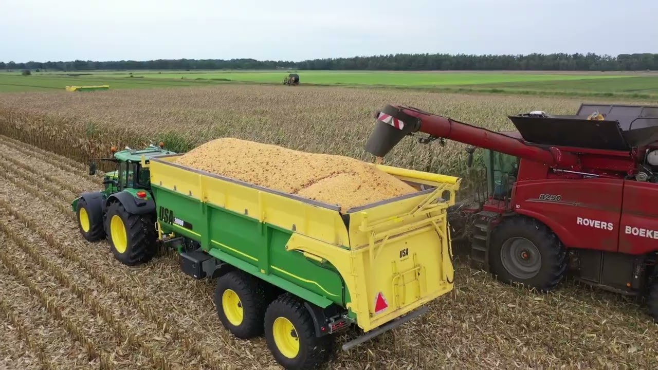 Threshing maize | Case 8250 | Mais dorsen | Loonbedrijf Rovers Boekel