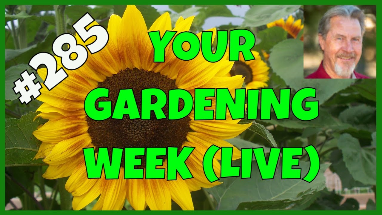 February in the Garden (Q&A)