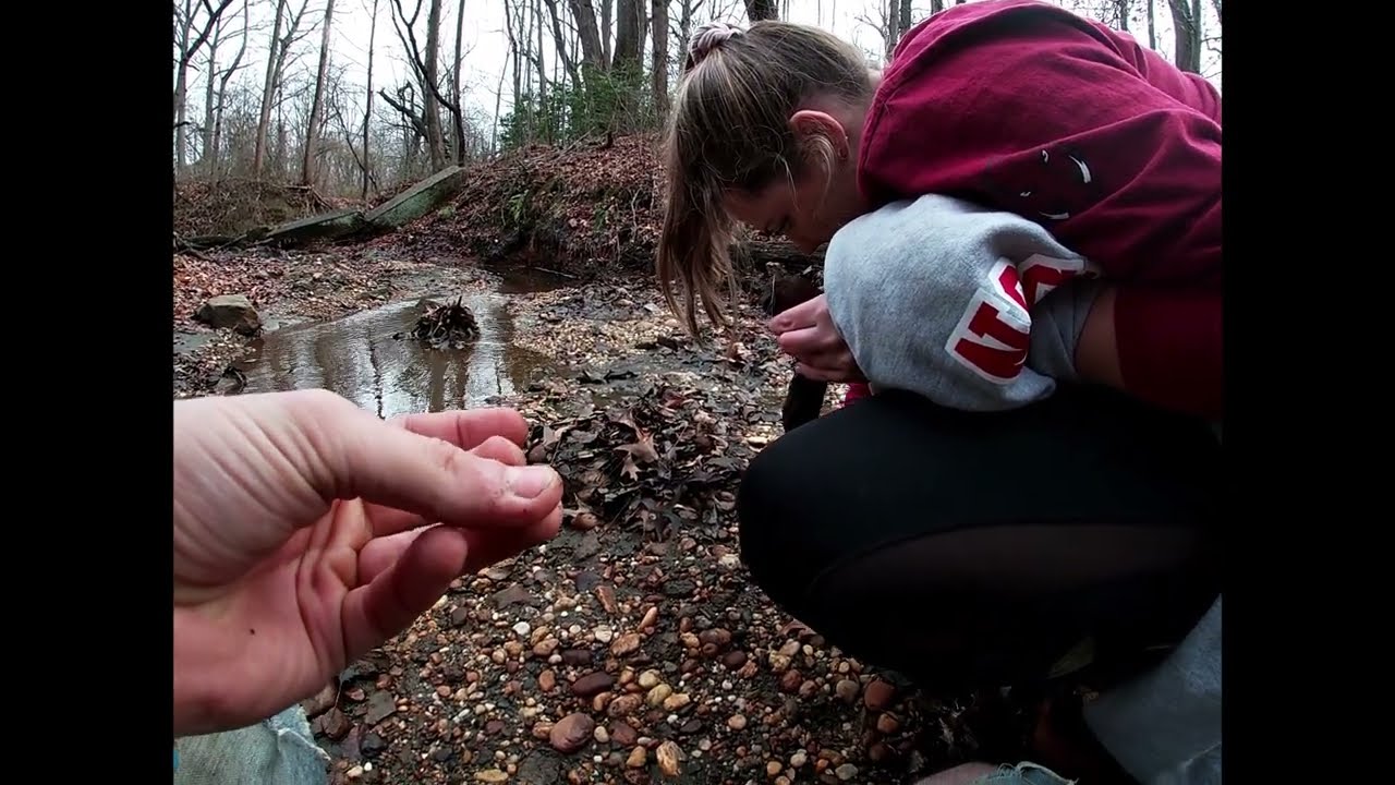 Finding OVER 200 Shark Teeth Fossils in New Jersey!