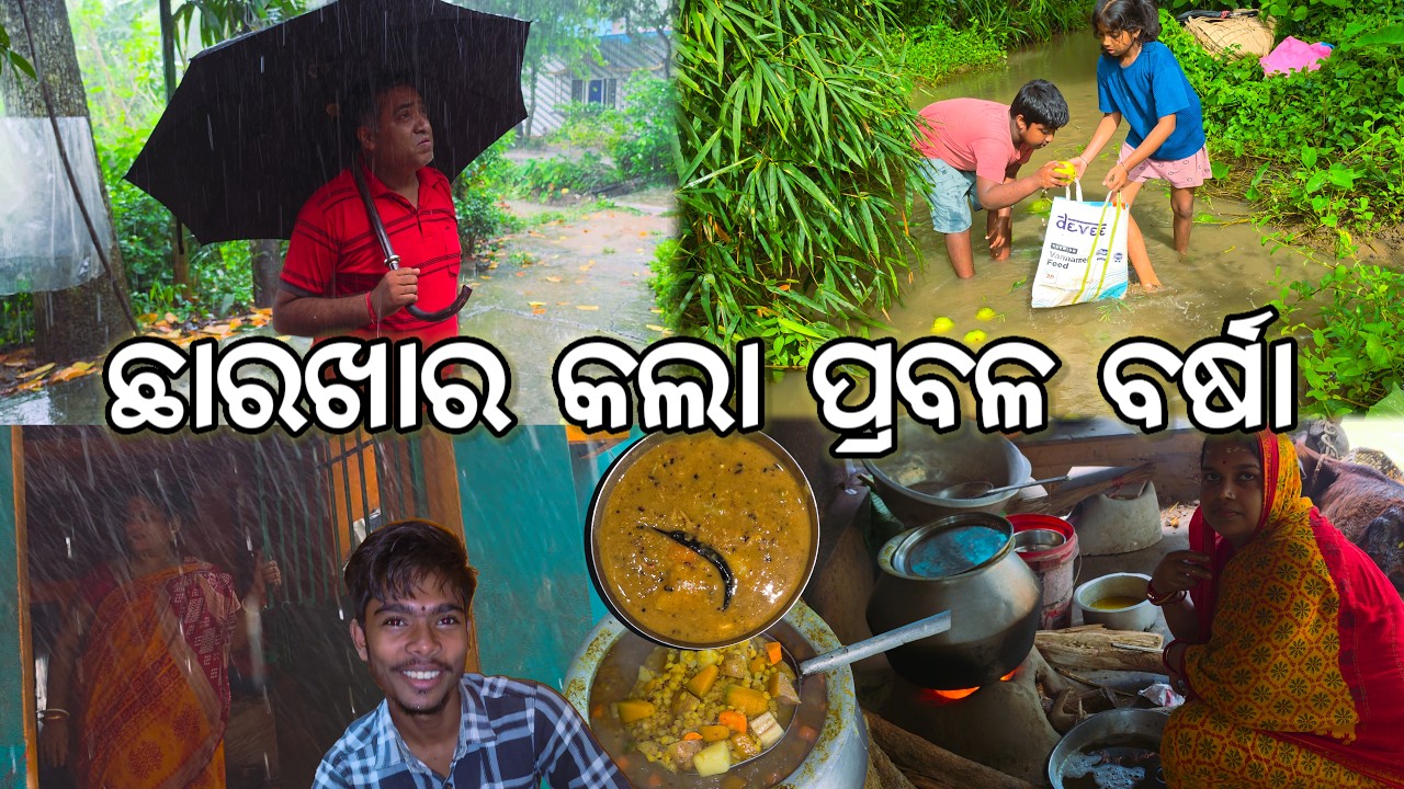 ଛାରଖାର କଲା ଗାଁରେ ପ୍ରବଳ ବର୍ଷା l Arua Dalma 😋 l ବର୍ଷାରେ କମ୍ପିଲା ଗାଁ ମଠ l Heavy Rain Alert 