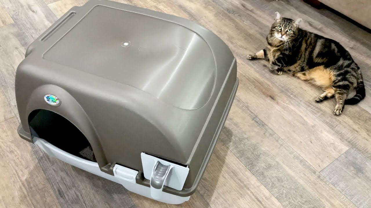 🐾 Omega Paw Roll 'n Clean Litter Box — Testing & Tips 😻
