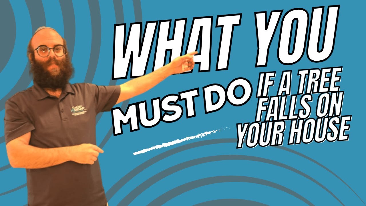 What You MUST Do If a Tree Falls on Your House!