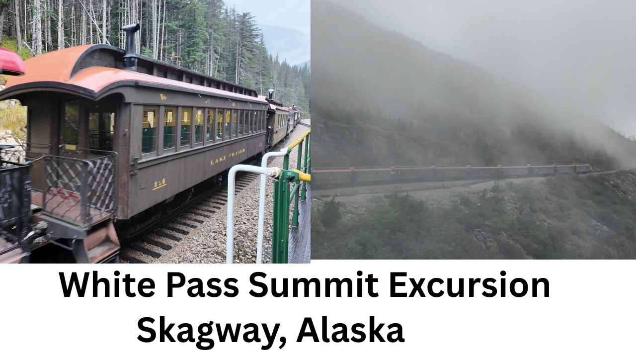 White Pass Summit Train Excursion From Discovery princess ￼ Alaska cruise ￼