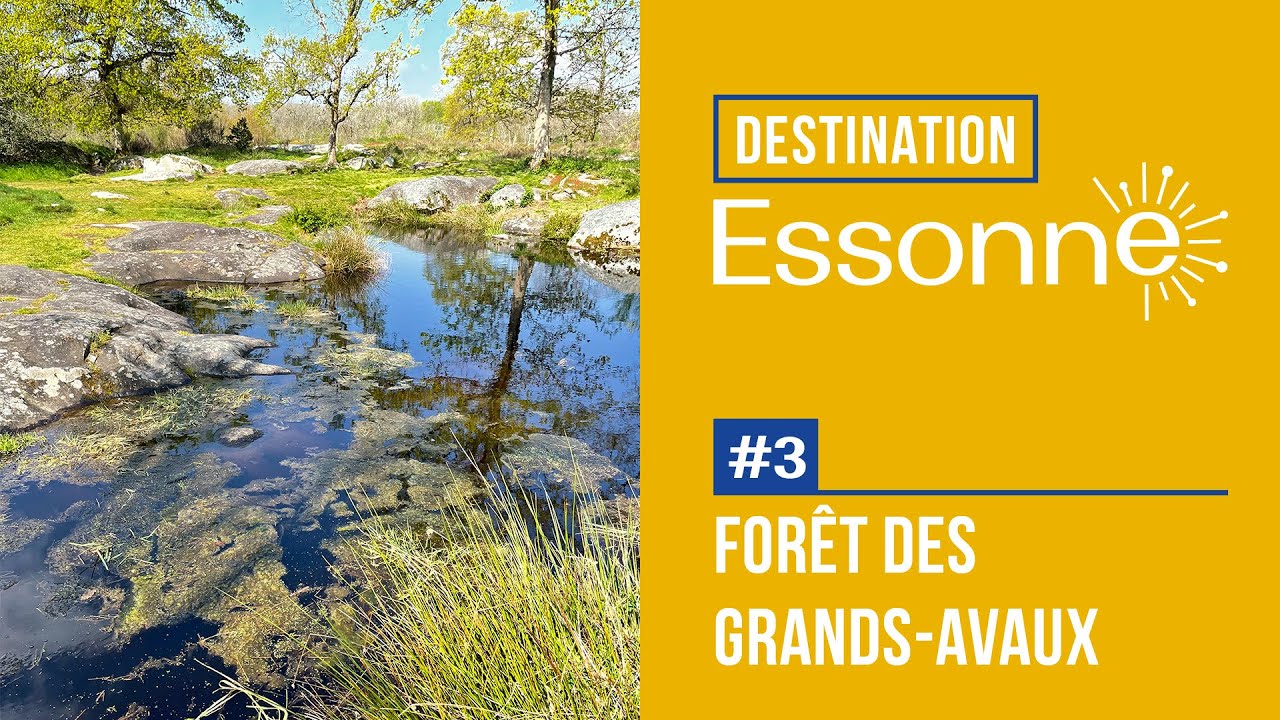 Destination Essonne #3 : La forêt des Grands-Avaux