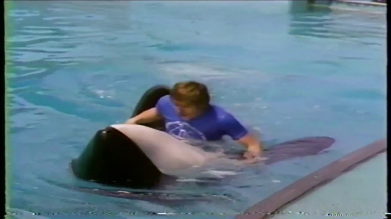 Don Polec Nearly Drowns Doing Story on Whale