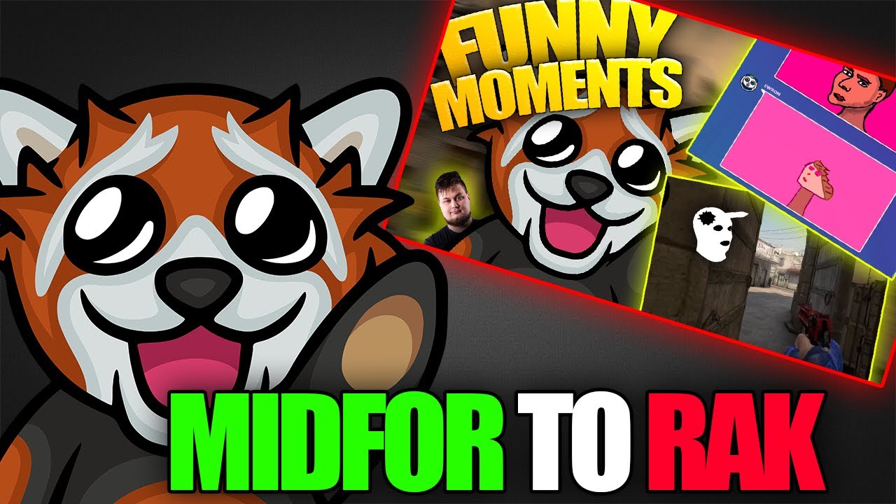 EWRON ogląda FUNNY MOMENTS i OCENIA MIDFORA... (+ REAKCJA CZATU)