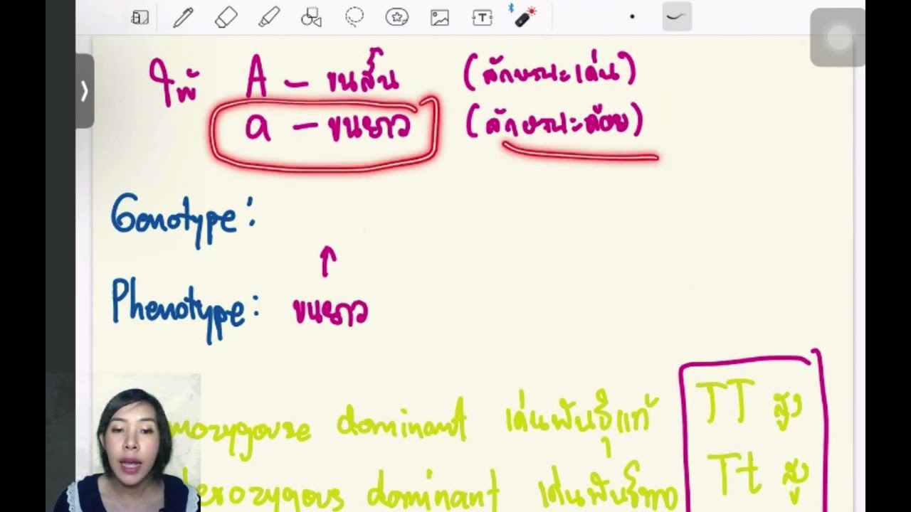 EP.1 พันธุศาสตร์ กฏของเมนเดล (genetics introduction)