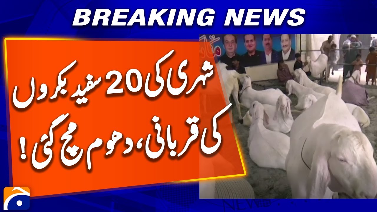 Multan: Man Raises 20 White Goats for Eid-ul-Adha Qurbani | Geo News