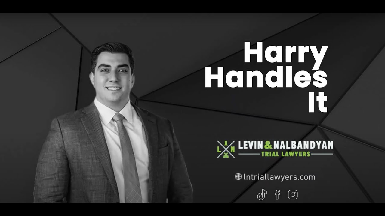Harry Handles It Podcast: Episode 1 with David Meltzer