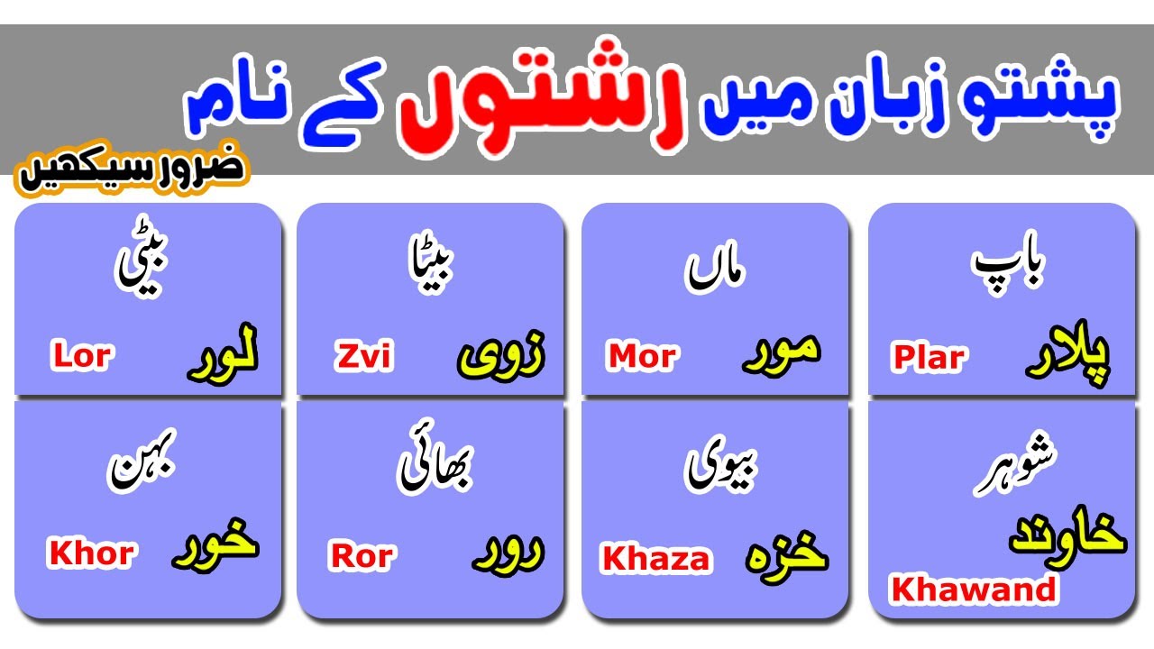 family members name in pashto|Learn relative names with urdu|My family members|pashto basic Learning