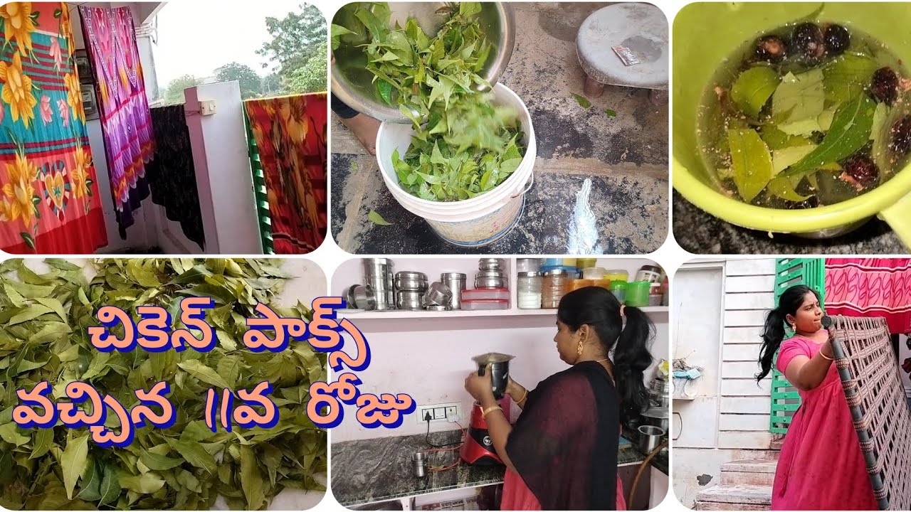 # చికెన్ పాక్స్ కి తీసుకోవలసిన జాగ్రత్తలు// ఈ రోజు మా అమ్మాయికి తలస్నానం