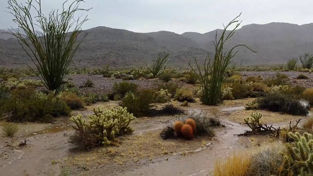 Desert Flash Flood (making of)