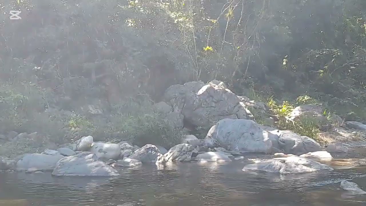 Aventuras y buscando oro en la cordillera central