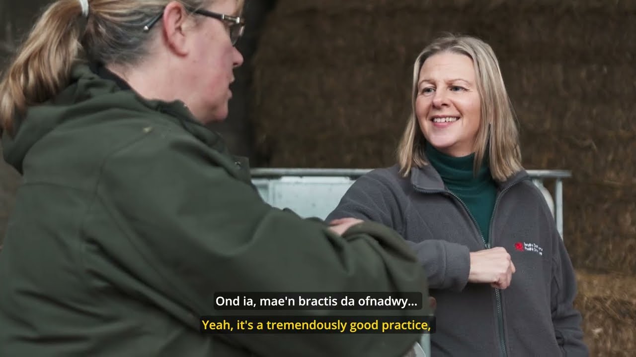 Snowdonia Wagyu, Cywain and Food Innovation Wales - Astudiaeth Achos | Case Study