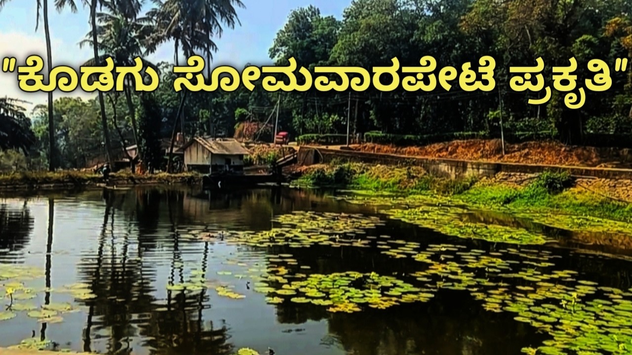 “KODAGU NATURE 😍 | ಸೋಮವಾರಪೇಟೆ ಬೆಟ್ಟ ಗುಡ್ಡ ಪ್ರಕೃತಿ ಸೌಂದರ್ಯ | Coorg Travel Vlog Kannada”