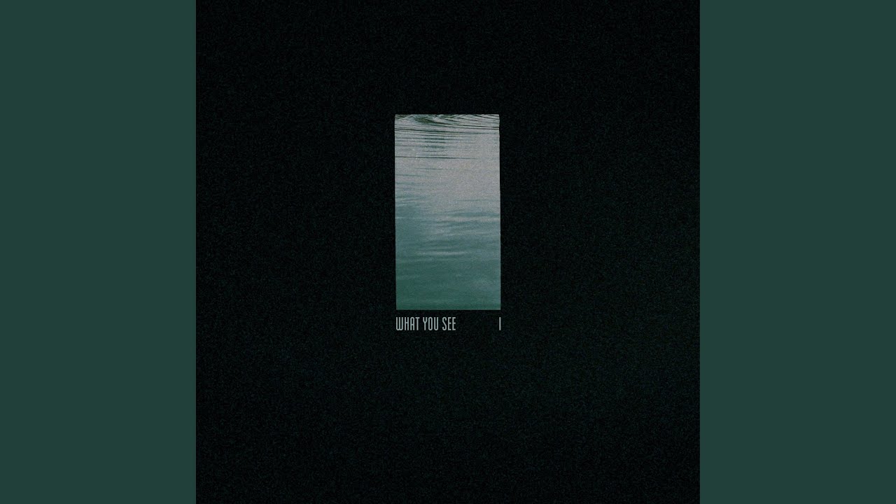 WHAT YOU SEE