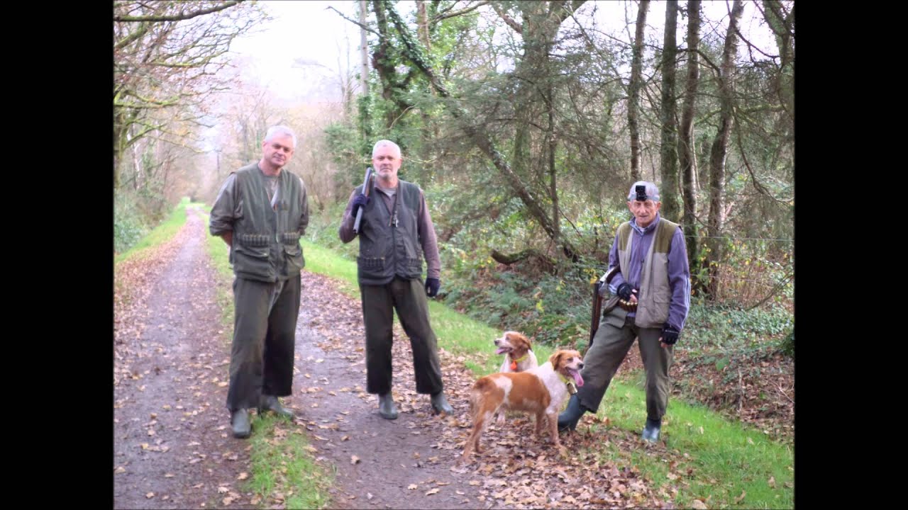 CHASSE A LA BECASSE - CENTRE BRETAGNE,  Décembre 2015