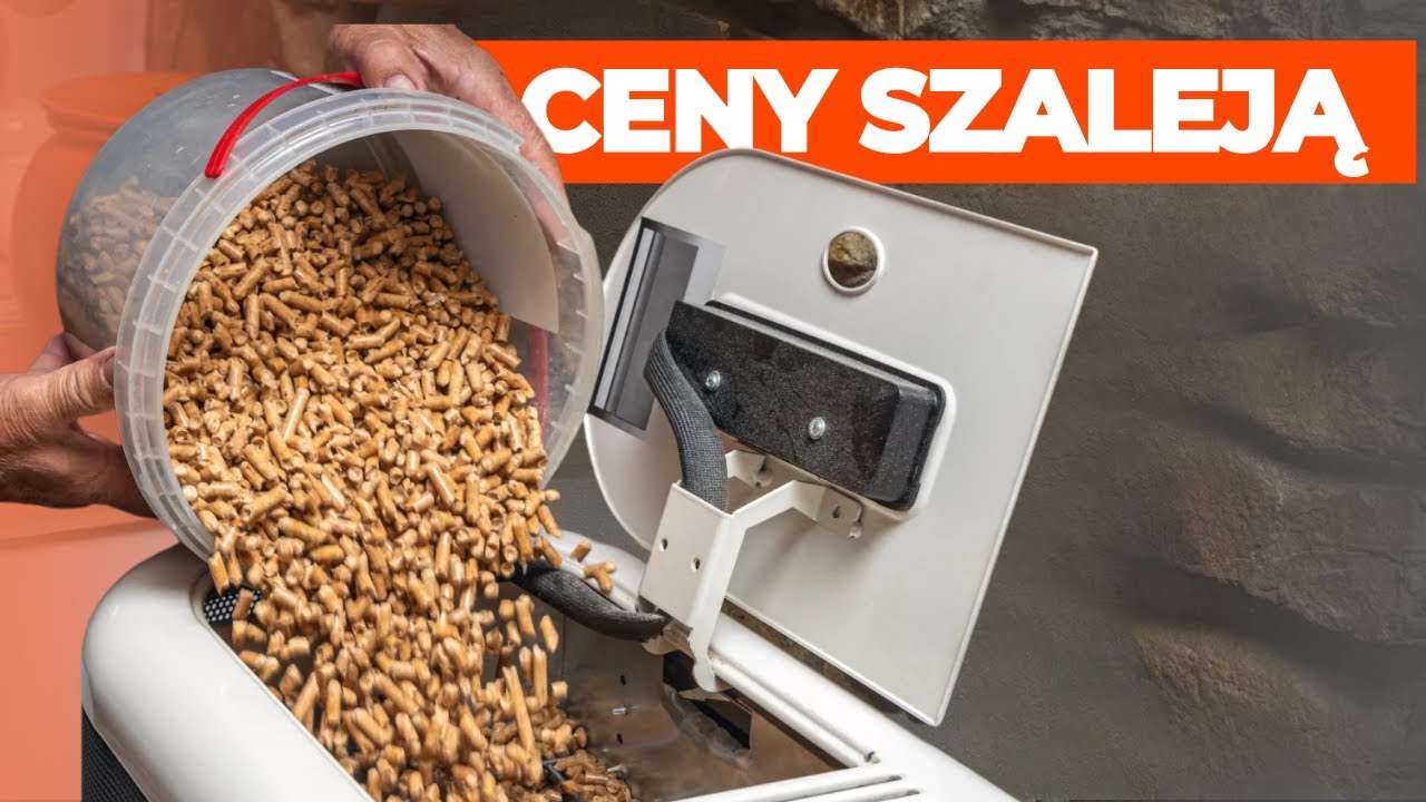 Ceny najmodniejszego opału w Polsce szaleją. Tanio już było, a ma być jeszcze drożej | NEWS