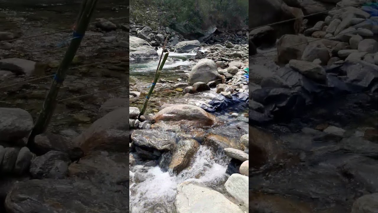 Rimbi river , Sikkim