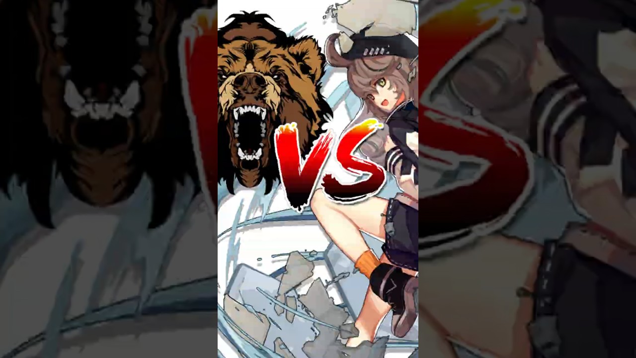 Turtle vs Bear
