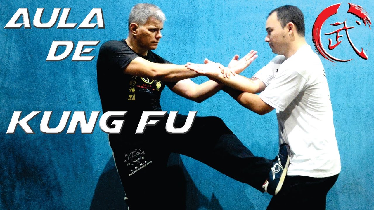 WING CHUN Kung Fu do Filme O Grande Mestre, Aprenda Técnica de Defesa de Soco no Rosto e Abdomen