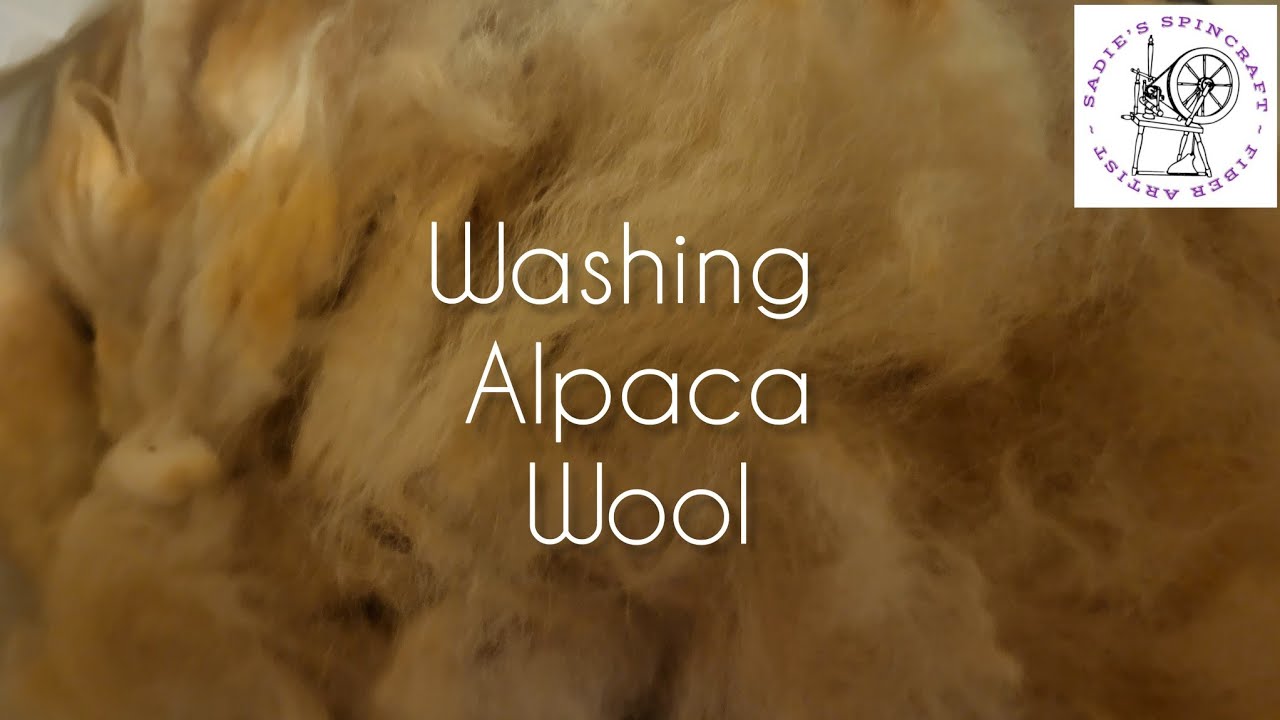 Washing Alpaca Wool