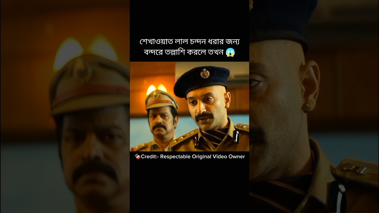 Part-11 Pushpa The Rule Explain in Bangla | Cine Respect BD | Malayalam Movie Explain in Bangla
