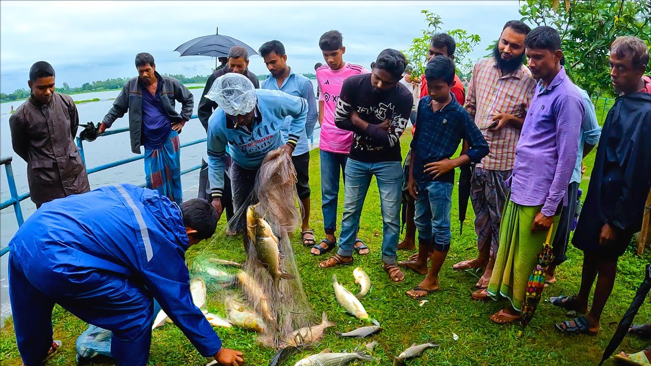 ঝাকি জালে এক ফিকে ২৫ কেজি মাছ দেখে সবার মাথা নষ্ট|Traditional Rainy Day Fishing|Village Fishing Fest