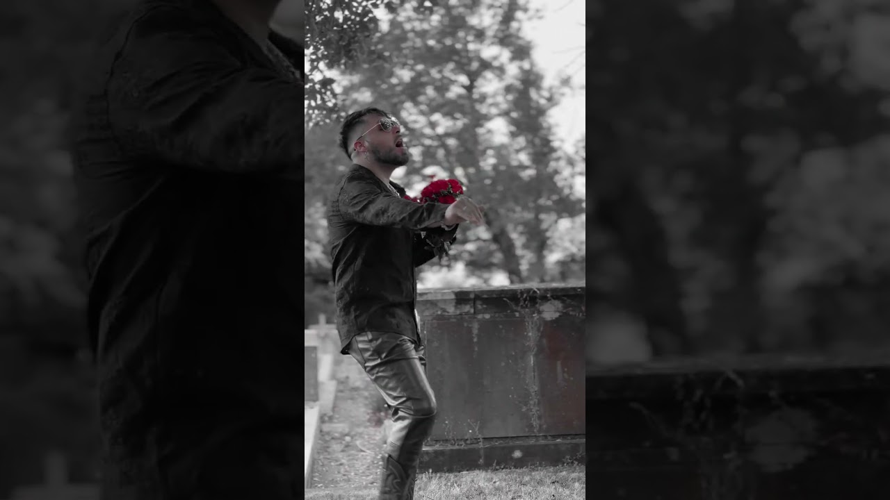 Mr. Don - Fantasias / Vertical Video Oficial