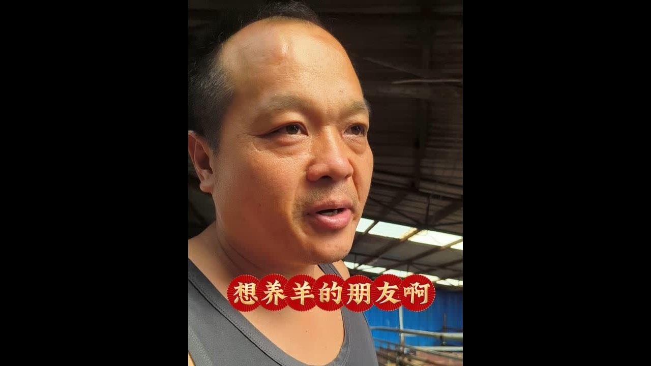 养殖有风险，投资需谨慎#农村创业养殖 #黑山羊 #自繁自养 #黑山羊养殖 #乡村英才计划