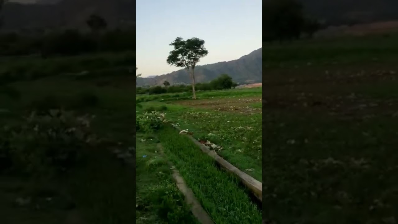 morning views  @morning #shorts