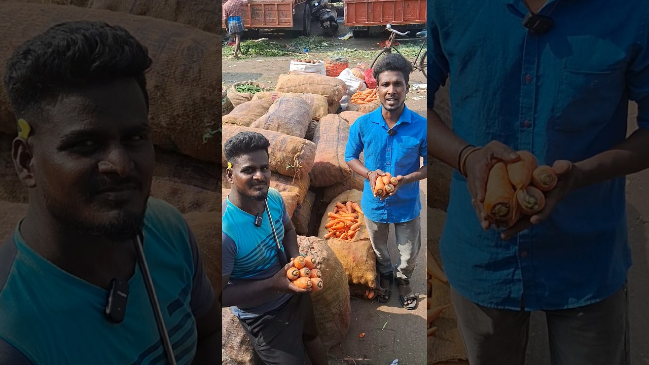 💥🥕 Carrot 50 kg 200 rupees only in Chennai Koyambedu market #carrot #vegetable #trending #viralvideo