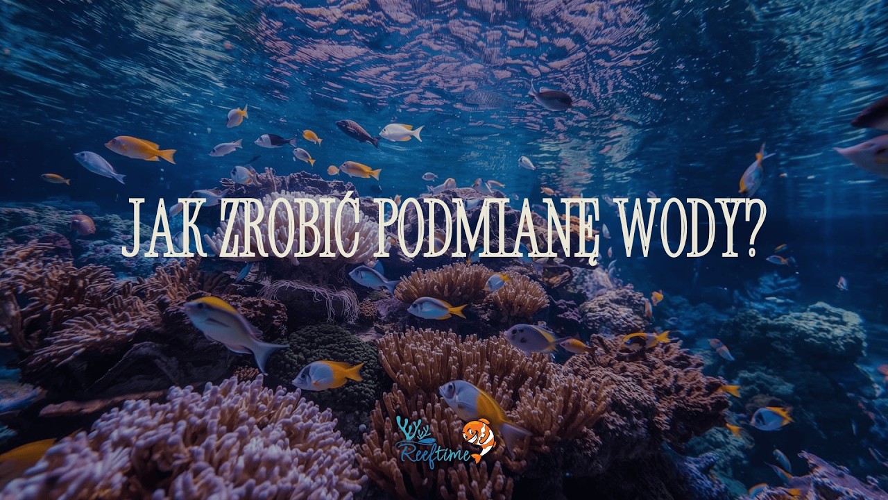 Podmiana wody w akwarium morskim – dlaczego i jak ją zrobić?