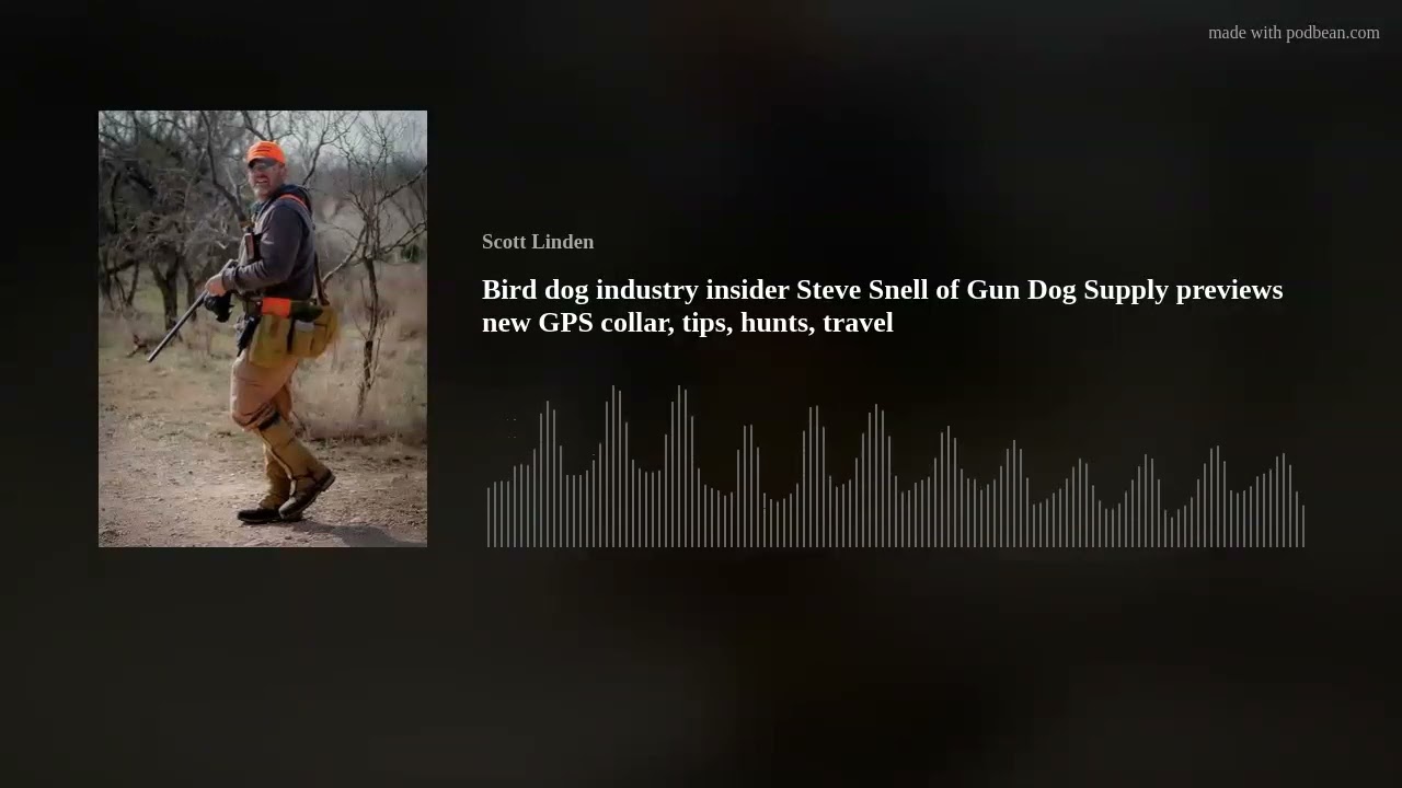 Bird dog industry insider Steve Snell of Gun Dog Supply previews new GPS collar, tips, hunts, travel