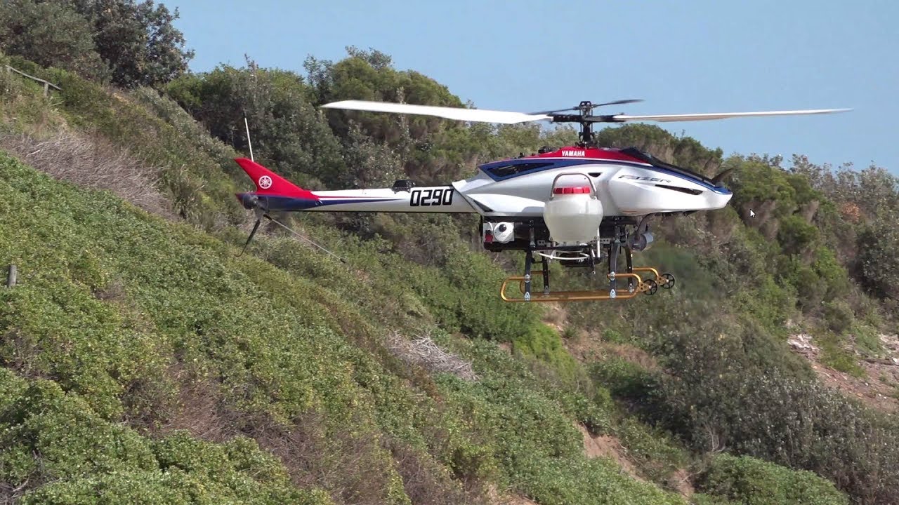 BITOU BUSH SPRAYING DEMO WITH HELICOPTER DRONE @ LONG REEF, NSW