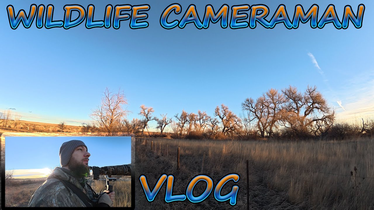 First Wildlife Photography Outing of 2026