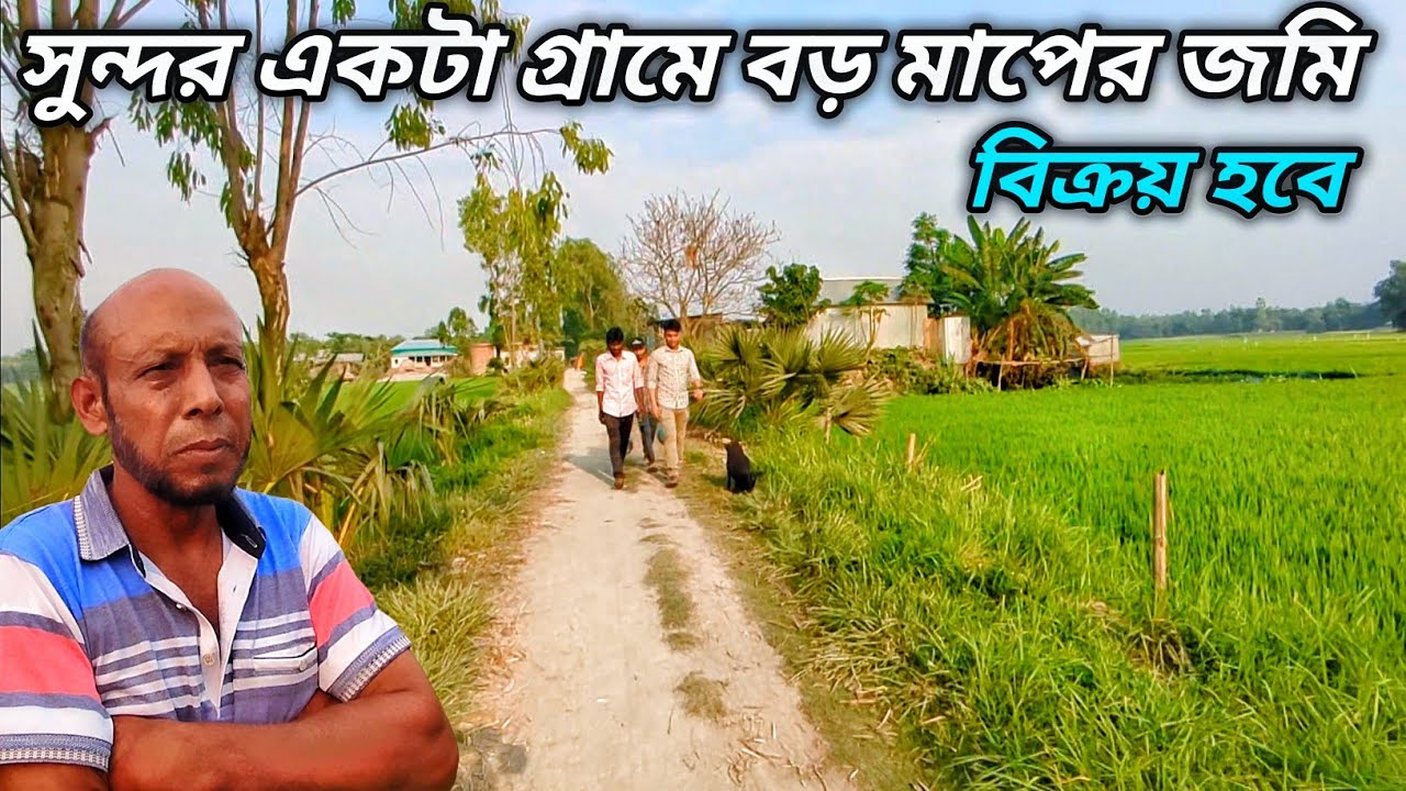 সুন্দর একটা গ্রামে বড় মাপের জমি বিক্রি হবে | রাস্তার পাশে জমি ও মোবাইল নাম্বার | Grammo Jibon