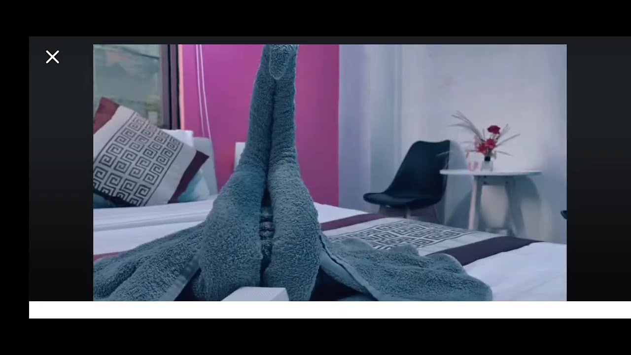 SVID 20260214 222926 1