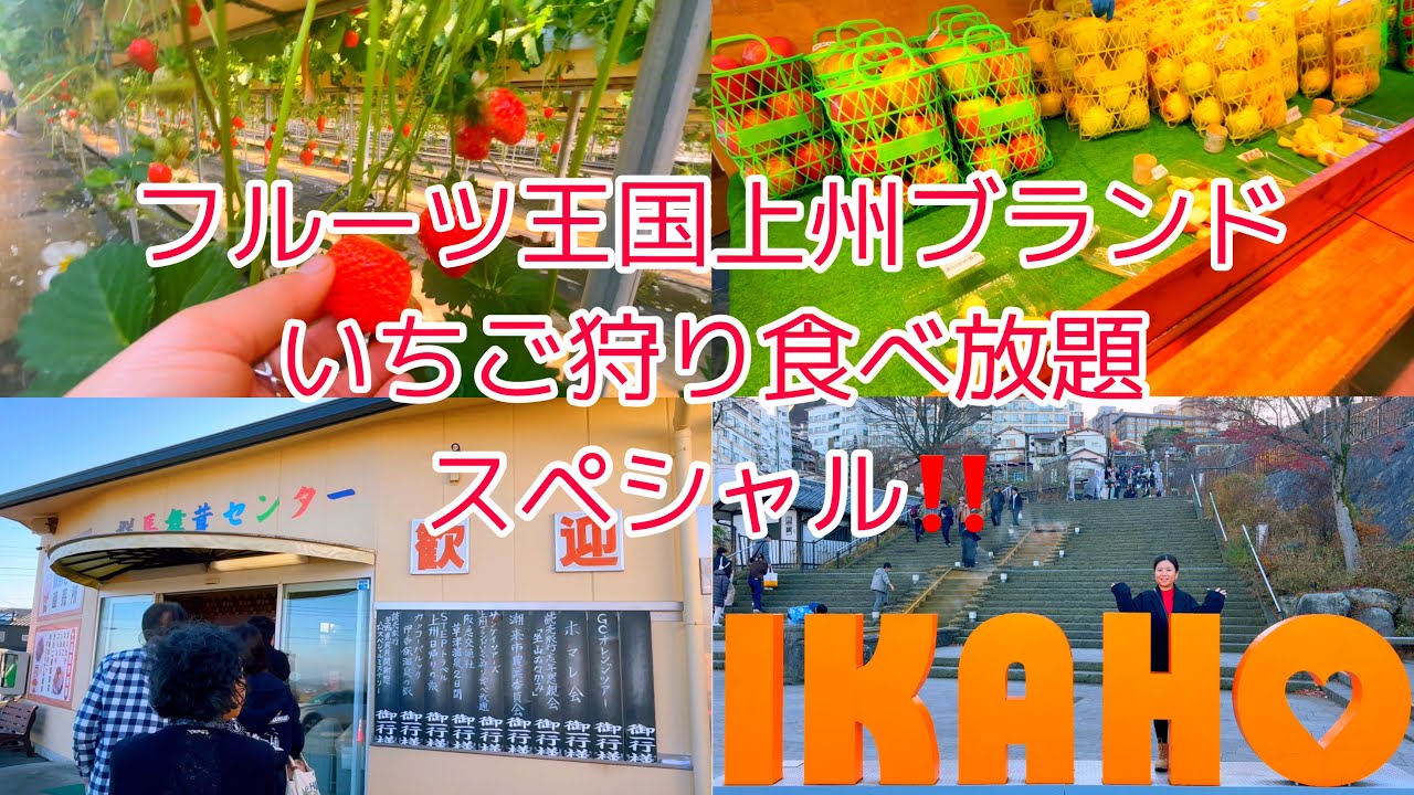 横浜発日帰りバスツアーin群馬　いちご狩り食べ放題