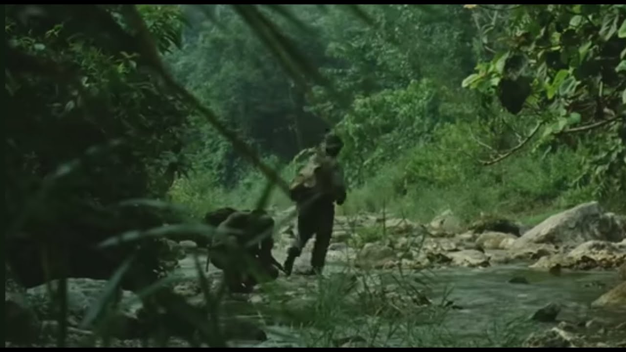 4) 