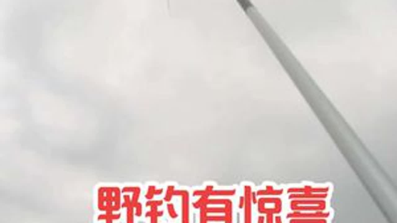 番禺化龙野钓，沙亭村马腰岗公园前面，不收竿不收费，开车直接到钓位，停车免费