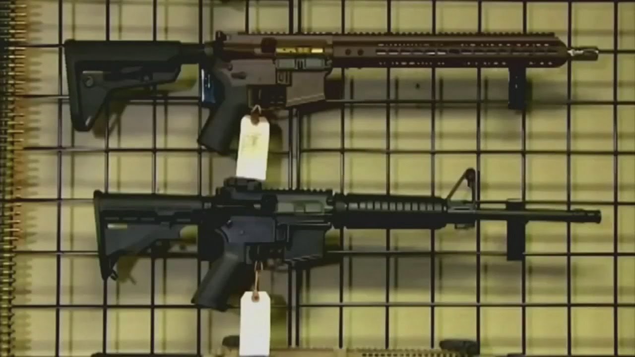 Unorganized militia gun bill