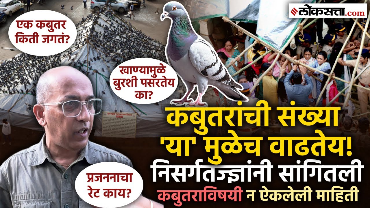 कबुतरखाने बंद; तरी कबुतर येणारच! पालिकेचं पुढचं पाऊल कसं असायला हवं? । Nature Expert