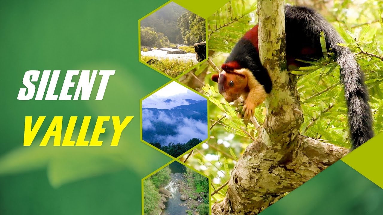 Success Story of Silent Valley National Park | Conservation of 50 million years old Rain forests